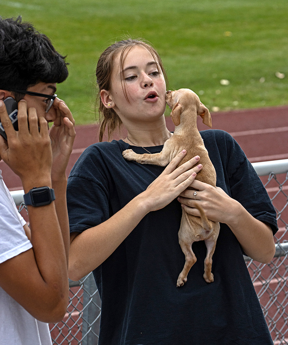 Hold My Dog by Leslie Larson (Groups 2 & 4)